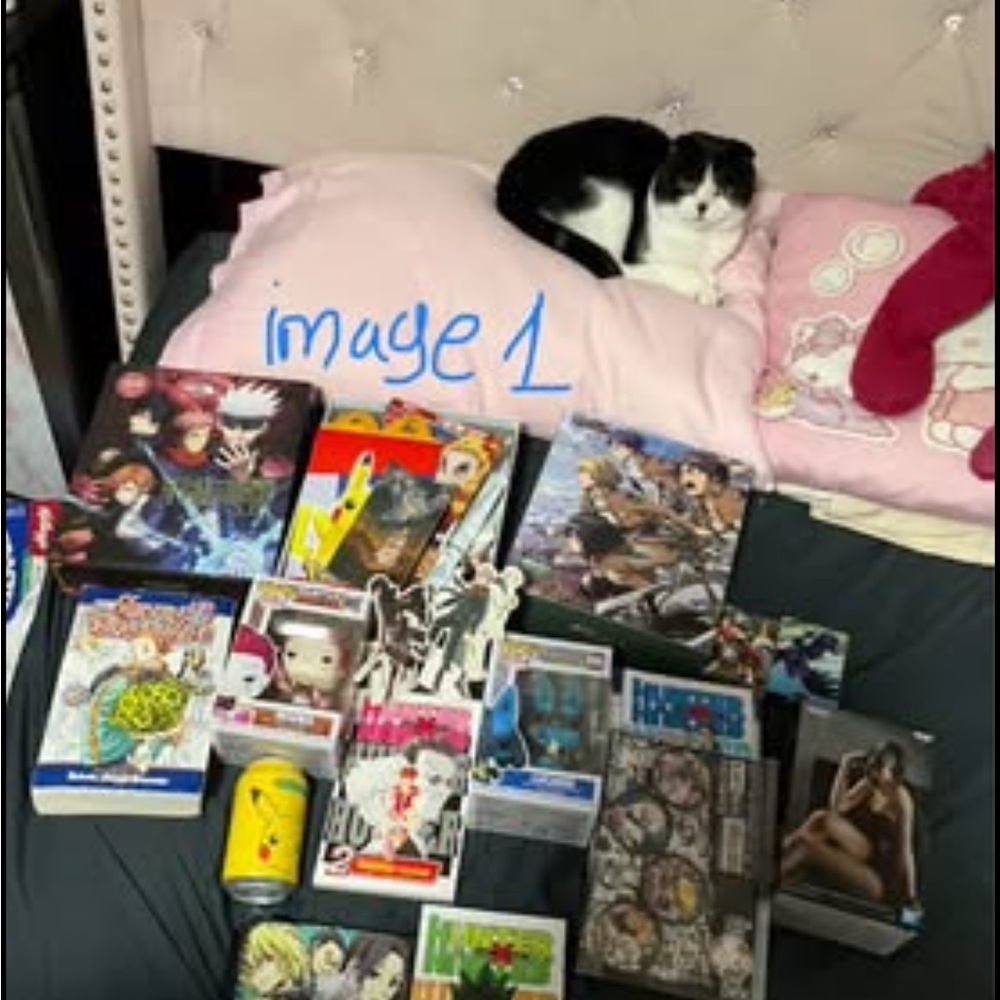 Anime and Manga Collection Bundle